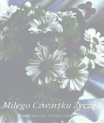 Stokrotki z biedroneczkami na czwartek